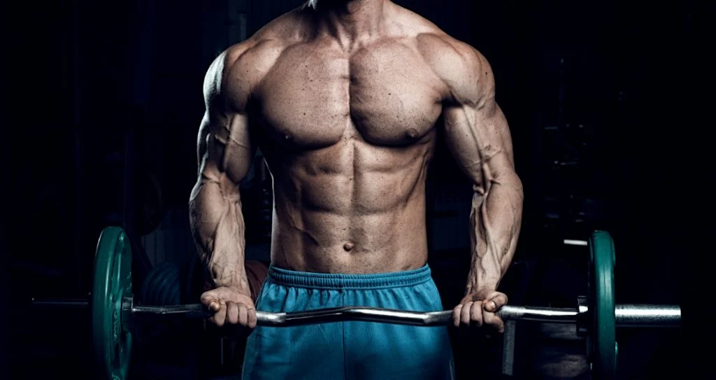 How Anabolic Steroids Work