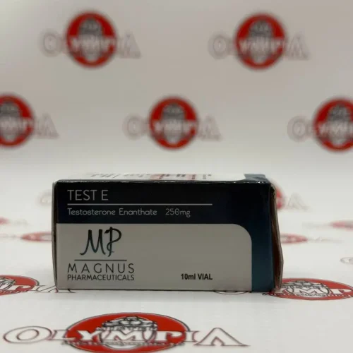 TEST E	Magnus